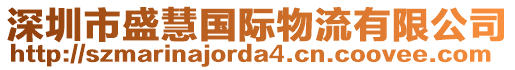 深圳市盛慧國(guó)際物流有限公司