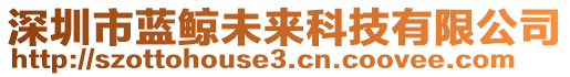 深圳市藍(lán)鯨未來科技有限公司