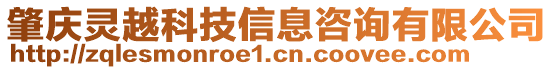 肇慶靈越科技信息咨詢有限公司