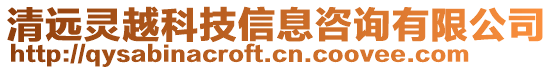 清遠靈越科技信息咨詢有限公司