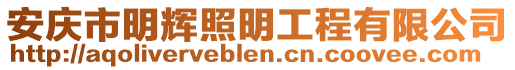 安慶市明輝照明工程有限公司