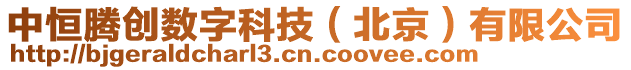 中恒騰創(chuàng)數(shù)字科技（北京）有限公司