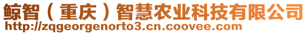 鯨智（重慶）智慧農(nóng)業(yè)科技有限公司