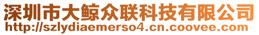 深圳市大鯨眾聯(lián)科技有限公司