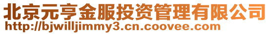 北京元亨金服投資管理有限公司