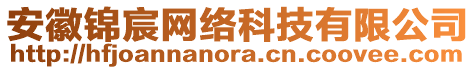 安徽錦宸網(wǎng)絡(luò)科技有限公司