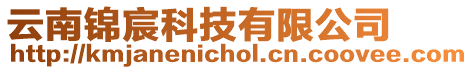 云南錦宸科技有限公司