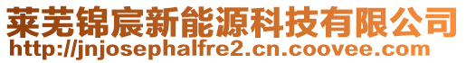 萊蕪錦宸新能源科技有限公司