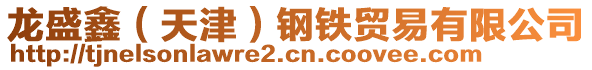 龍盛鑫（天津）鋼鐵貿(mào)易有限公司