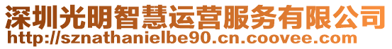 深圳光明智慧運(yùn)營服務(wù)有限公司