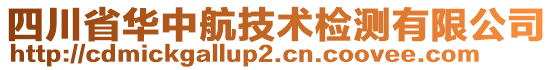 四川省华中航技术检测有限公司