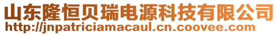 山东隆恒贝瑞电源科技有限公司