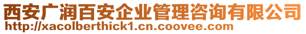 西安廣潤百安企業(yè)管理咨詢有限公司