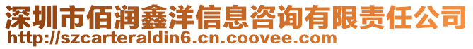 深圳市佰润鑫洋信息咨询有限责任公司