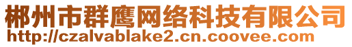 郴州市群鹰网络科技有限公司