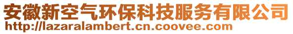 安徽新空氣環(huán)?？萍挤?wù)有限公司