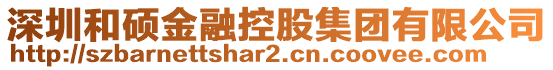 深圳和碩金融控股集團(tuán)有限公司