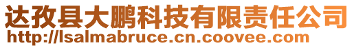 達(dá)孜縣大鵬科技有限責(zé)任公司