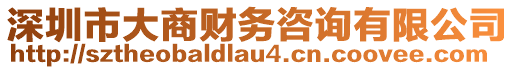 深圳市大商財(cái)務(wù)咨詢有限公司