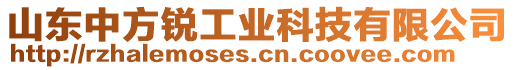 山東中方銳工業(yè)科技有限公司