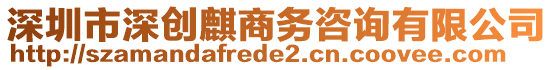 深圳市深創(chuàng)麒商務(wù)咨詢有限公司