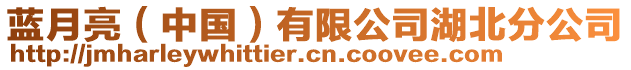 藍(lán)月亮（中國）有限公司湖北分公司