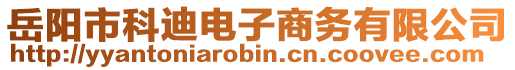 岳陽(yáng)市科迪電子商務(wù)有限公司