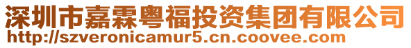 深圳市嘉霖粵福投資集團(tuán)有限公司