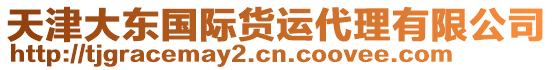 天津大東國(guó)際貨運(yùn)代理有限公司