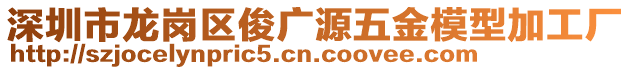 深圳市龍崗區(qū)俊廣源五金模型加工廠