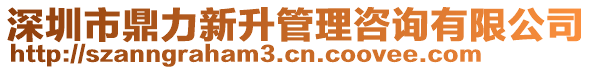 深圳市鼎力新升管理咨詢(xún)有限公司