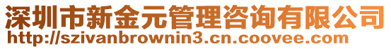 深圳市新金元管理咨詢有限公司