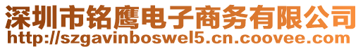 深圳市銘鷹電子商務(wù)有限公司