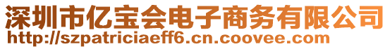 深圳市億寶會電子商務有限公司