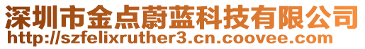 深圳市金點蔚藍(lán)科技有限公司