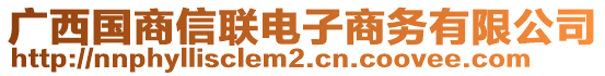 廣西國商信聯(lián)電子商務(wù)有限公司