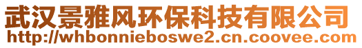 武漢景雅風(fēng)環(huán)保科技有限公司