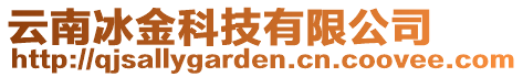 云南冰金科技有限公司