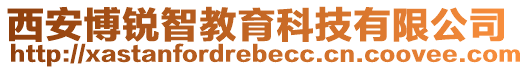 西安博銳智教育科技有限公司