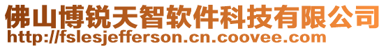 佛山博銳天智軟件科技有限公司