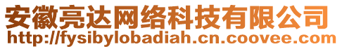 安徽亮達(dá)網(wǎng)絡(luò)科技有限公司