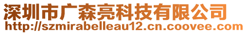 深圳市廣森亮科技有限公司