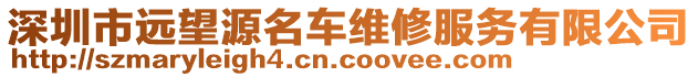 深圳市遠(yuǎn)望源名車維修服務(wù)有限公司