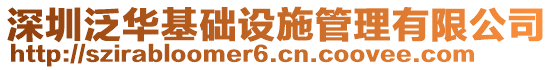 深圳泛華基礎(chǔ)設(shè)施管理有限公司