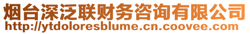 煙臺深泛聯(lián)財務(wù)咨詢有限公司