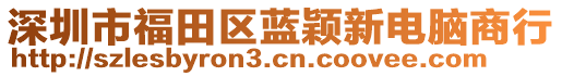 深圳市福田區(qū)藍(lán)穎新電腦商行