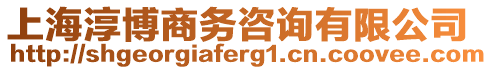 上海淳博商務(wù)咨詢有限公司