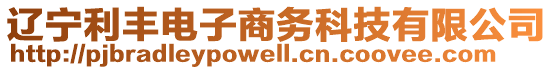 辽宁利丰电子商务科技有限公司