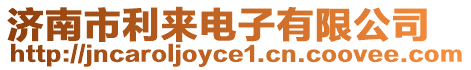 濟(jì)南市利來電子有限公司