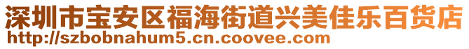 深圳市寶安區(qū)福海街道興美佳樂百貨店